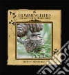 The Hummingbird That Answered My Heart's Calling The Hummingbird That Answered My Heart's Calling