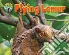 Flying Lemur Flying Lemur